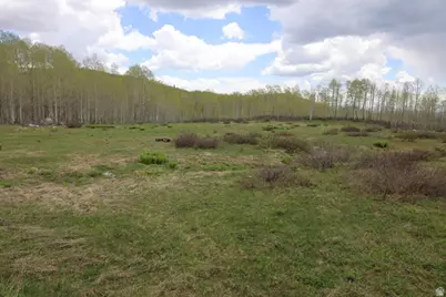 5274 N Larkspur Rd W #41, Midway, UT 84049 - Photo 2