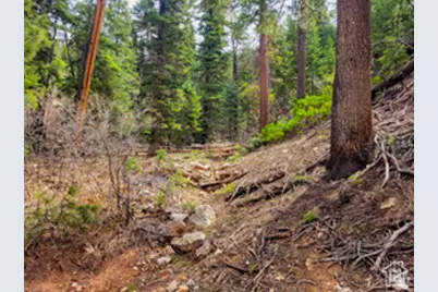 36 Sky Haven Mountain Retreat #36, Duck Creek Village, UT 84762 - Photo 6