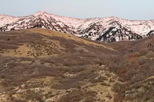 1085 E Windsor Dr, Provo, UT 84604 - Photo 82