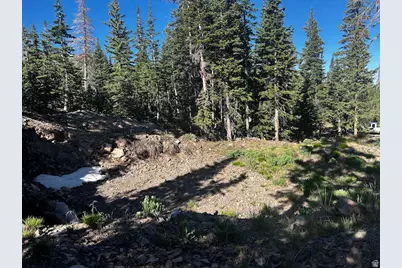 115 S Olympic Dr, Brian Head, UT 84719 - Photo 8