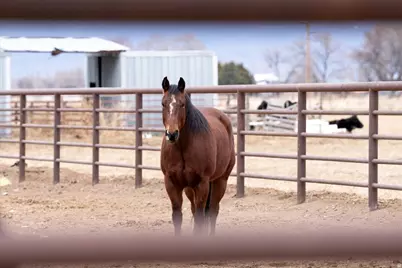7702 S 3300 W, Spanish Fork, UT 84660 - Photo 76