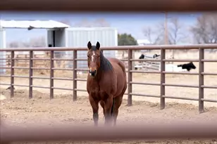 7702 S 3300 W, Spanish Fork, UT 84660 - Photo 76