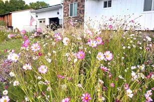 45 E 200 S, Wellsville, UT 84339 - Photo 4