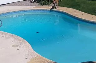 3533 E Country Manor Rd, Cottonwood Heights, UT 84121 - Photo 36