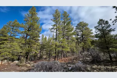 60 S Wray Mesa Rd #2, La Sal, UT 84530 - Photo 8