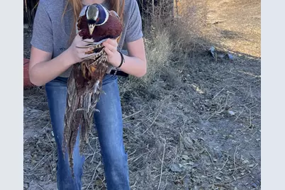 890 E Hatchery Rd, Bicknell, UT 84715 - Photo 40