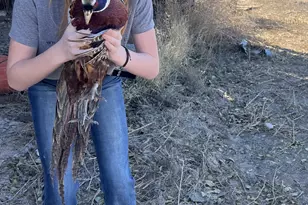 890 E Hatchery Rd, Bicknell, UT 84715 - Photo 40