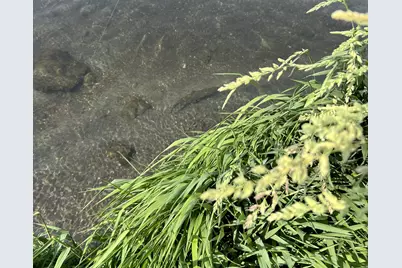 890 E Hatchery Rd, Bicknell, UT 84715 - Photo 38