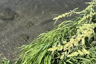 890 E Hatchery Rd, Bicknell, UT 84715 - Photo 38