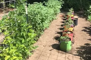 528 W 2900 S, Bountiful, UT 84010 - Photo 32