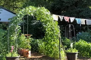 528 W 2900 S, Bountiful, UT 84010 - Photo 46