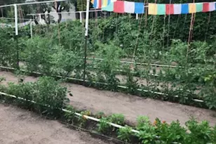 528 W 2900 S, Bountiful, UT 84010 - Photo 42