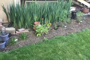 528 W 2900 S, Bountiful, UT 84010 - Photo 34