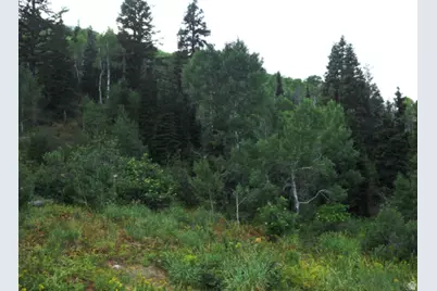 15412 E Aspen Cir S #24, Huntsville, UT 84317 - Photo 14