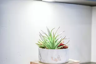 5239 W 2390 S, Hurricane, UT 84737 - Photo 52