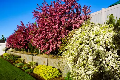 9903 N Lippizan Way E, Eagle Mountain, UT 84005 - Photo 8