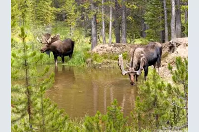 1870 S Beaver Bench Rd #1442, Heber City, UT 84032 - Photo 30