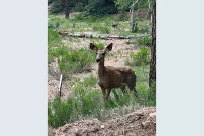 1275 N Piute Dr, Duck Creek Village, UT 84762 - Photo 30