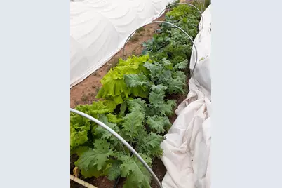 7587 S 39700 W, Fruitland, UT 84027 - Photo 70