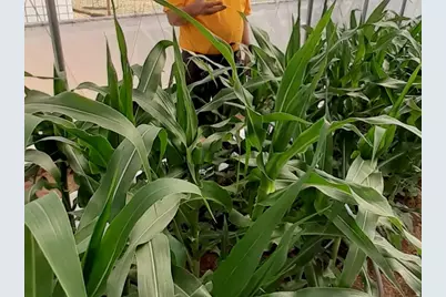 7587 S 39700 W, Fruitland, UT 84027 - Photo 72