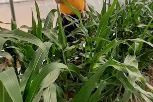 7587 S 39700 W, Fruitland, UT 84027 - Photo 44