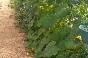 7587 S 39700 W, Fruitland, UT 84027 - Photo 42