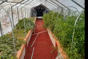 7587 S 39700 W, Fruitland, UT 84027 - Photo 74