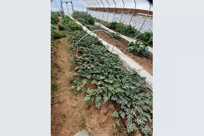 7587 S 39700 W, Fruitland, UT 84027 - Photo 74