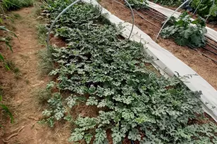 7587 S 39700 W, Fruitland, UT 84027 - Photo 72