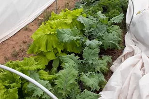 7587 S 39700 W, Fruitland, UT 84027 - Photo 68