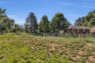 1351 E Fort Blvd, Cottonwood Heights, UT 84121 - Photo 30