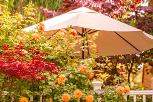 8867 S Easthills Dr E, Sandy, UT 84093 - Photo 76