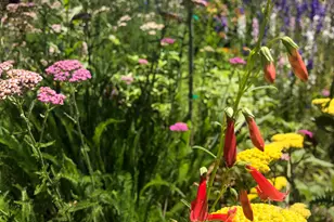 45 W Blvd, Salt Lake City, UT 84115 - Photo 56