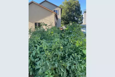 58 W 300 N, Springville, UT 84663 - Photo 28