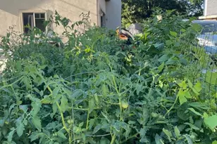 58 W 300 N, Springville, UT 84663 - Photo 28