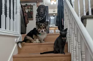 430 W 100 N, Clearfield, UT 84015 - Photo 2