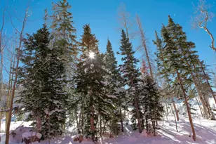 407 Vassles Dr #66 S, Brian Head, UT 84719 - Photo 12