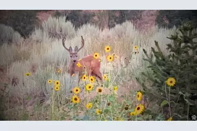 2042 S Valley Dr, Mapleton, UT 84664 - Photo 14