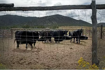 23886 N 6450 E, Cedar City, UT 84720 - Photo 8