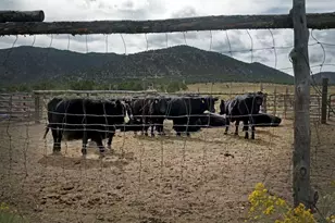 23886 N 6450 E, Cedar City, UT 84720 - Photo 8