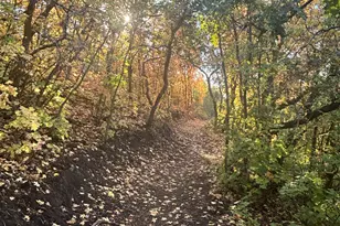 1370 E Meadow Valley Dr, Draper, UT 84020 - Photo 10