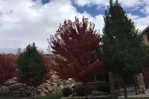 1370 E Meadow Valley Dr, Draper, UT 84020 - Photo 12