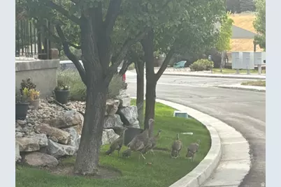 1370 E Meadow Valley Dr #24, Draper, UT 84020 - Photo 20