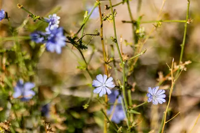 5855 E Pioneer Ridge Cir #195, Salt Lake City, UT 84108 - Photo 32