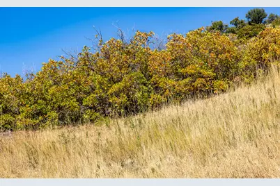 5855 E Pioneer Ridge Cir #195, Salt Lake City, UT 84108 - Photo 56