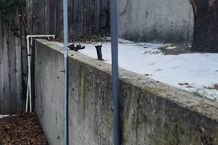 1492 E Sandy Hills Dr, Sandy, UT 84093 - Photo 36