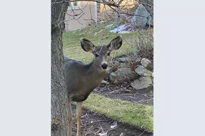 7980 S 2800 E, South Weber, UT 84405 - Photo 44