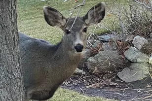 7980 S 2800 E, South Weber, UT 84405 - Photo 44