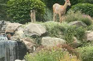 7980 S 2800 E, South Weber, UT 84405 - Photo 54