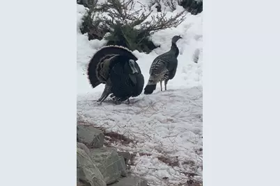 7980 S 2800 E, South Weber, UT 84405 - Photo 52